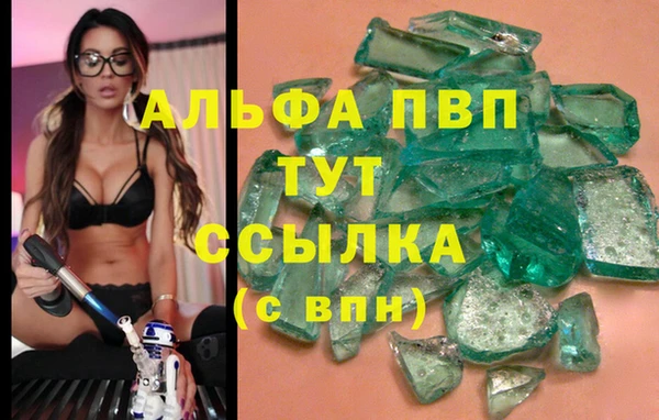 эйфоретик Аркадак
