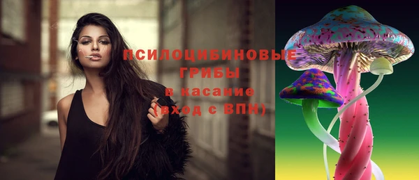 дживик Арсеньев