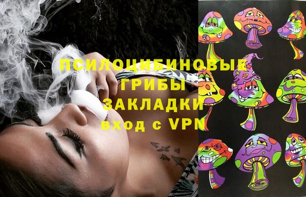 дживик Арсеньев